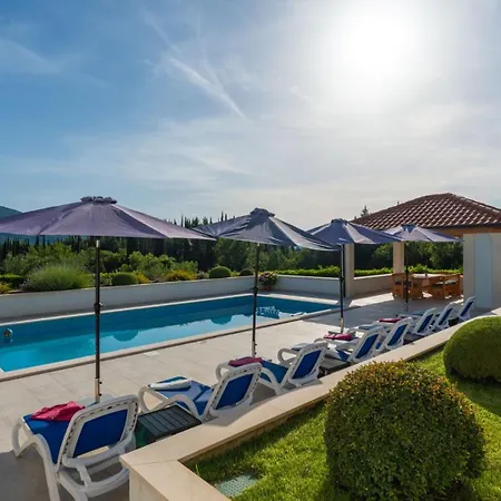 Cypress Paradise By Guide Dubravka