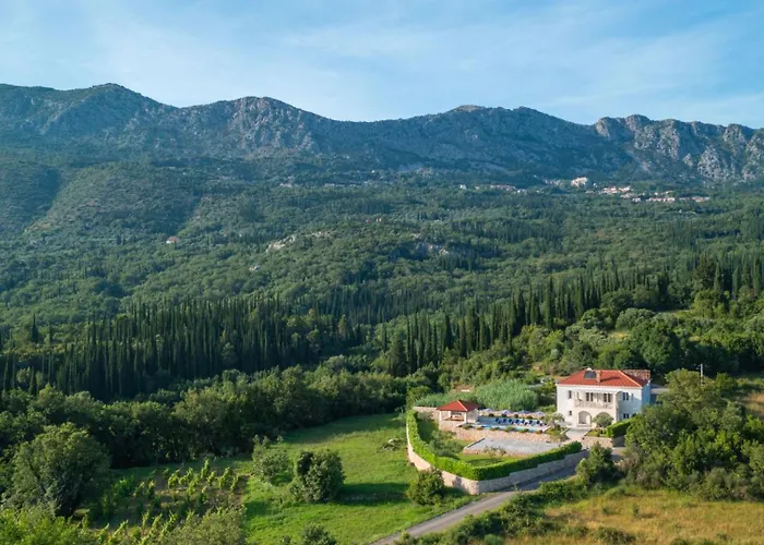 Cypress Paradise By Guide Dubravka