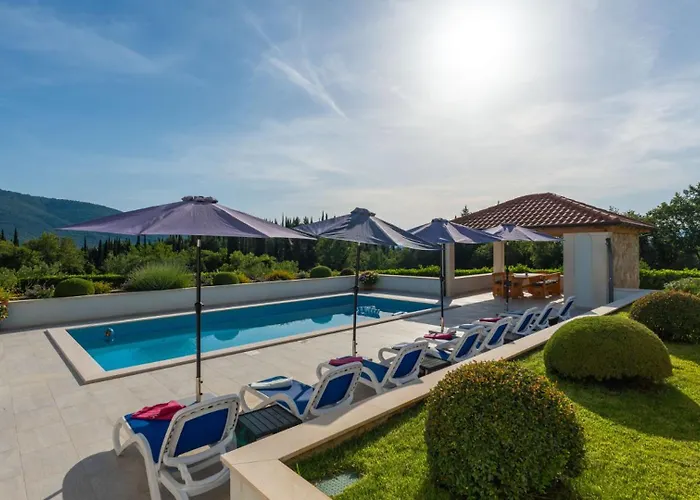 Cypress Paradise By Guide Dubravka