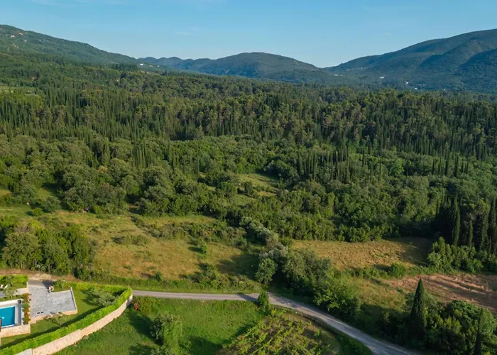 Cypress Paradise By Guide Dubravka