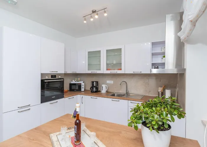 Cypress Paradise By Guide